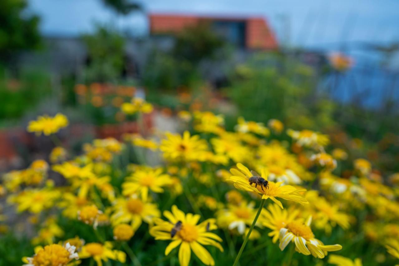 Casas Da Vereda Estreito Da Calheta Camera foto